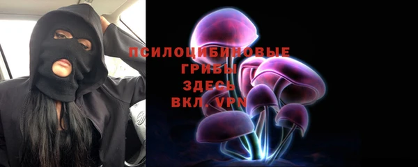 сатива Навашино