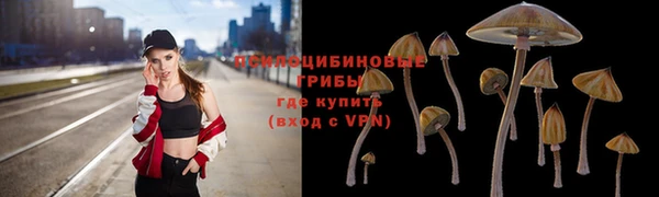 прущие крисы Абинск