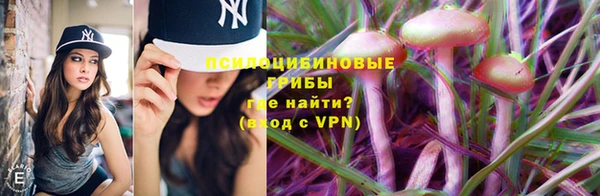 прущие крисы Абинск